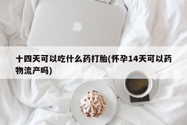 打胎药专卖微信卖流产药的微信十四天可以吃什么药打胎(怀孕14天可以药物流产吗)